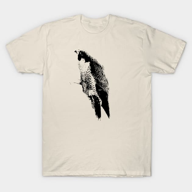 Hawk T-Shirt by Guardi